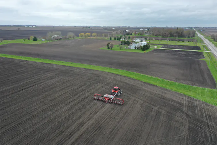 Planting corn near Dwight, Ill