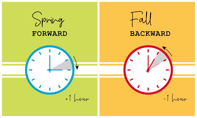 An illustration of two clocks depicting Daylight Savings Time changes: Fall backward, and spring forward.