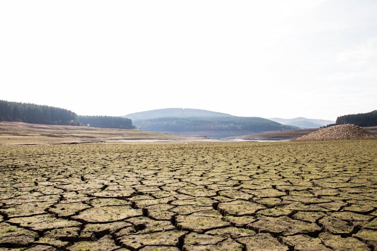 A dam floor cracked by lack of water.