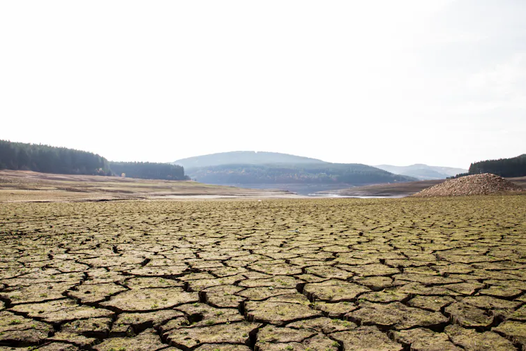 A dam floor cracked by lack of water.