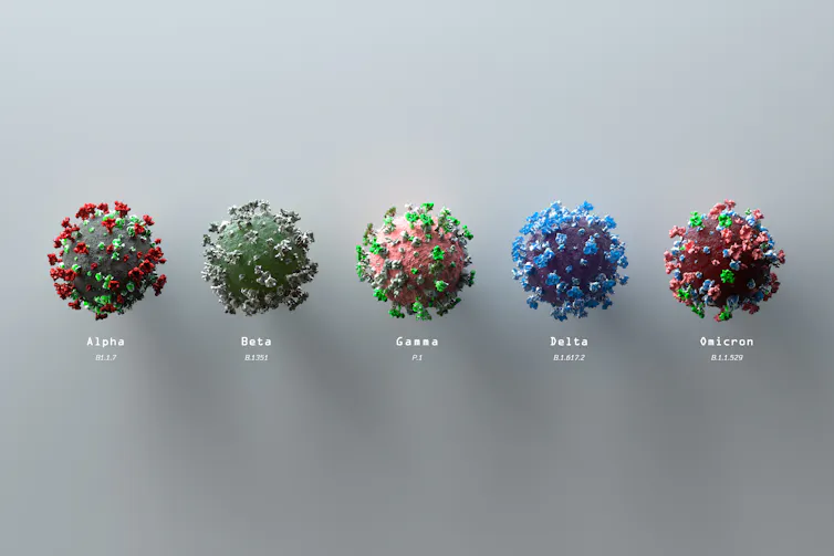 Cinco coronavirus esféricos de diferentes colores que representan algunas de las variantes existentes.