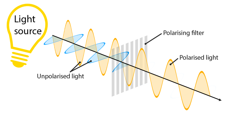 How polarizing filters work. Image: Physics Stack Exchange, Author provided