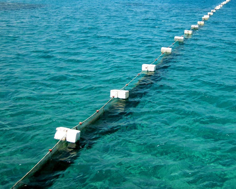 shark net in water