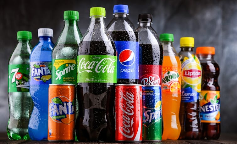A line of bottles containing fizzy drinks, such as Coke, Sprite and Pepsi.
