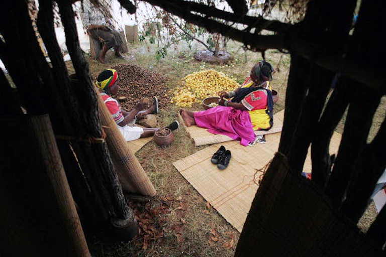 Two women sitting under a tree