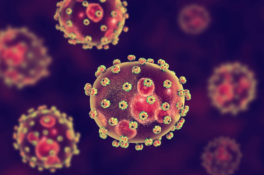 An illustrated depiction of Lassa fever virus cells inside the body.