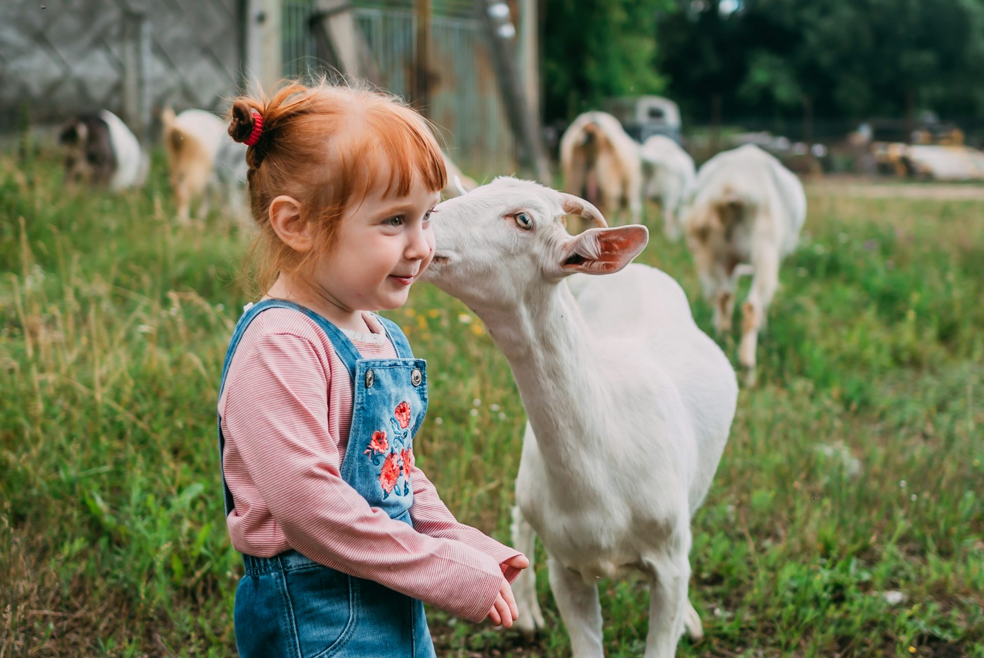 El amor a los animales como base para enseñar empatía en la escuela