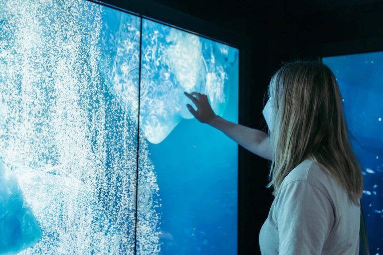 A woman at a blue touch screen