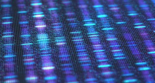As New Zealand's Omicron infections rise rapidly, genome surveillance is shifting gears