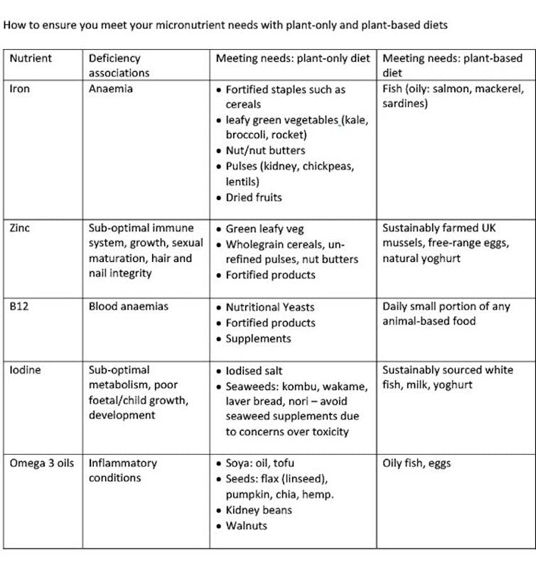 Table with information on which foods to eat to obtain micronutrients