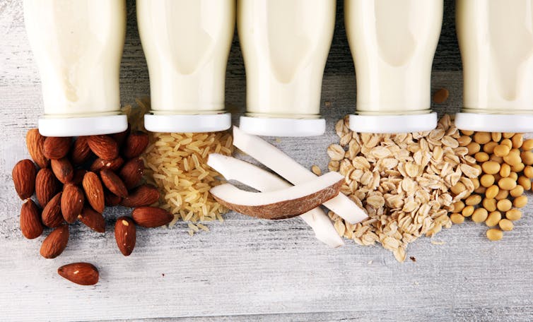 Five jugs of plant-based milks, including almond, rice, coconut, oat and soy.