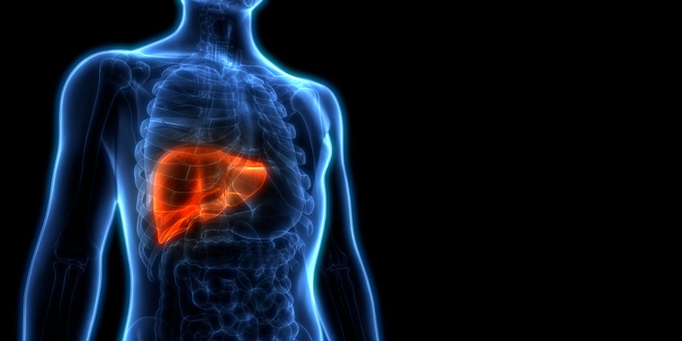 How Many People Have Liver Disease?