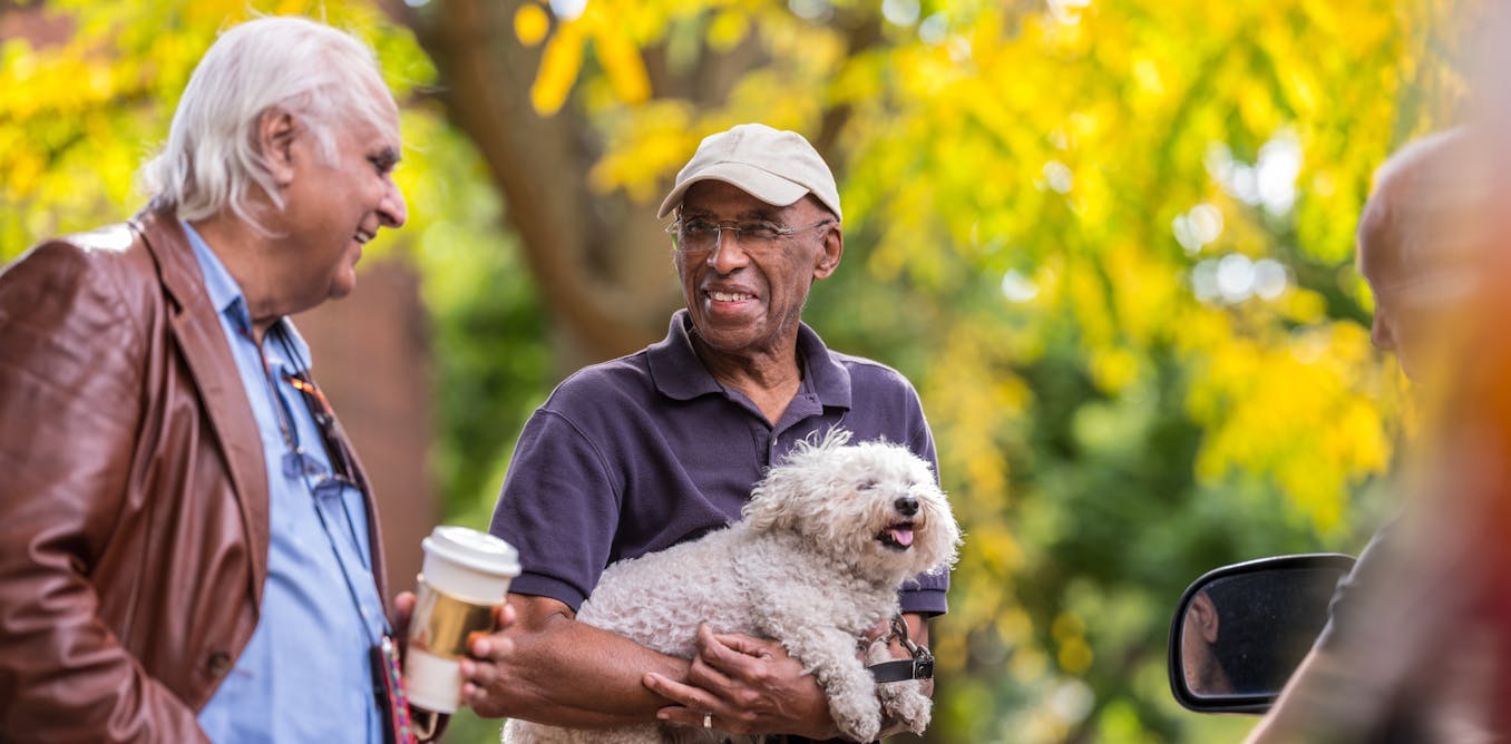 How the presence of pets builds belief amongst folks How the presence of pets builds belief amongst folks