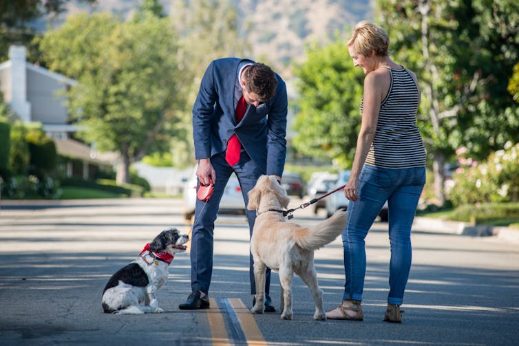 A man walking his dog bends down to pet a woman's dog on a neighborhood street.