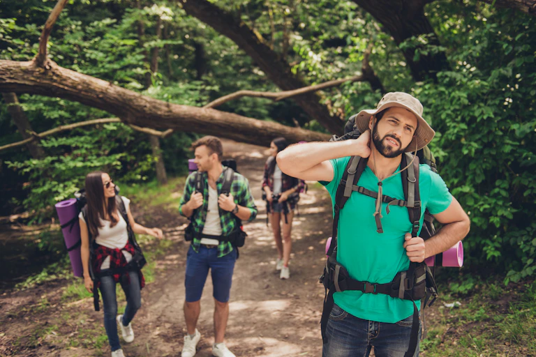 A group of young people on a bushwalk.