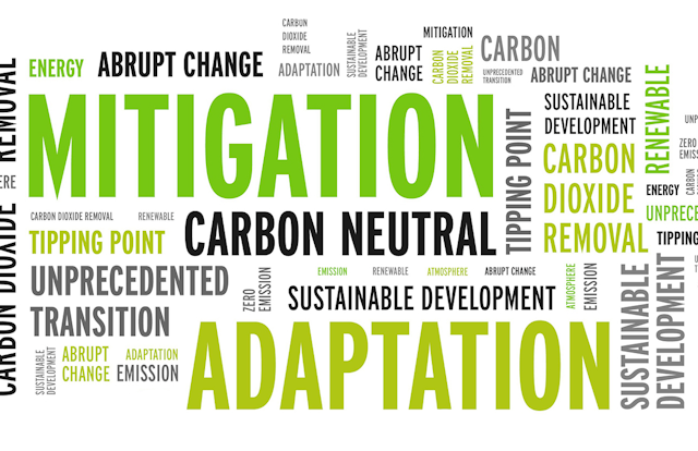 Word picture of common jargon like mitigation, adaptation and carbon neutral