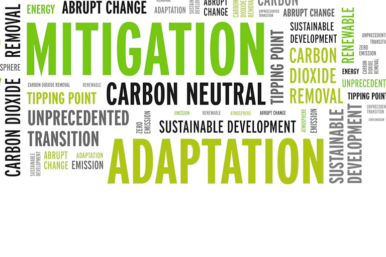 Word picture of common jargon like mitigation, adaptation and carbon neutral