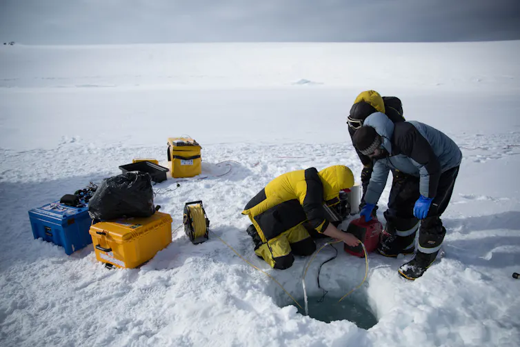 Scientists deploying a remote control camera into sea ice at O'Brien Bay, near Casey research station in East Antarctica