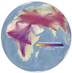 Map of Africa and Eurasis covered in pink lines.