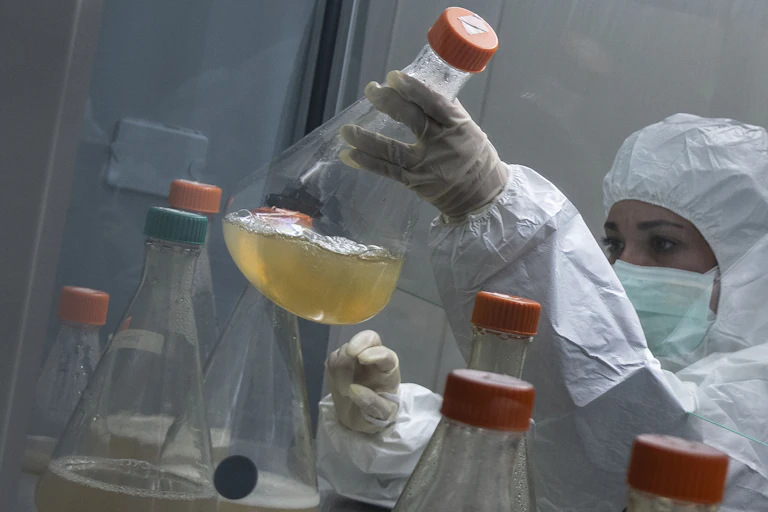 Scientist picking up conical flask