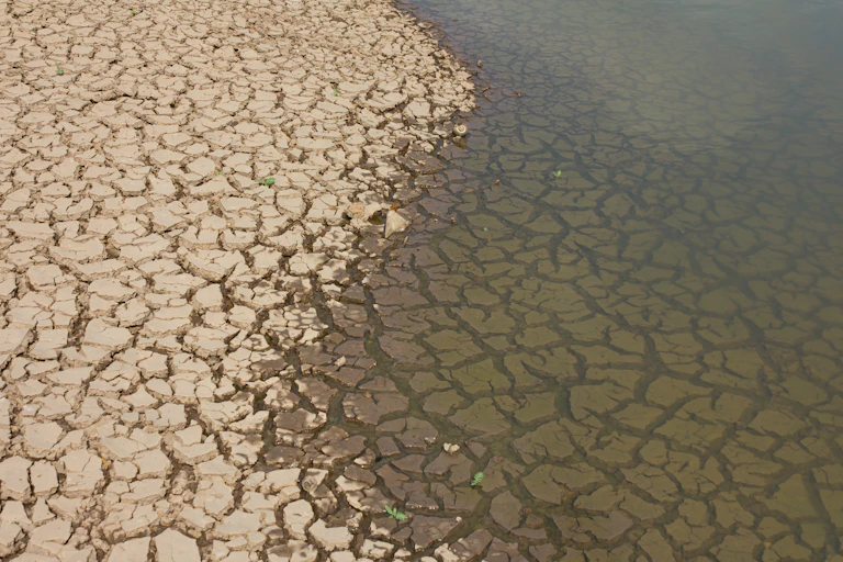 Cracked dry land covered by lake