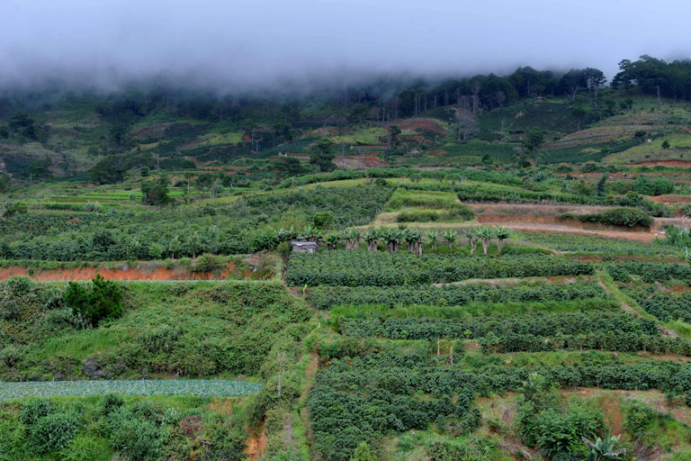 Landscape in Vietnam