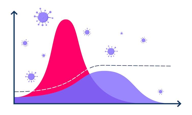 A graph showing two different curves and coronaviruses.