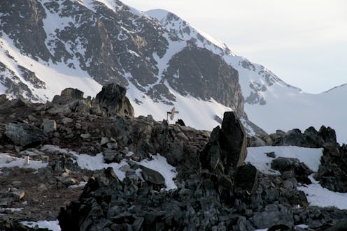 how sound reveals an unseen world