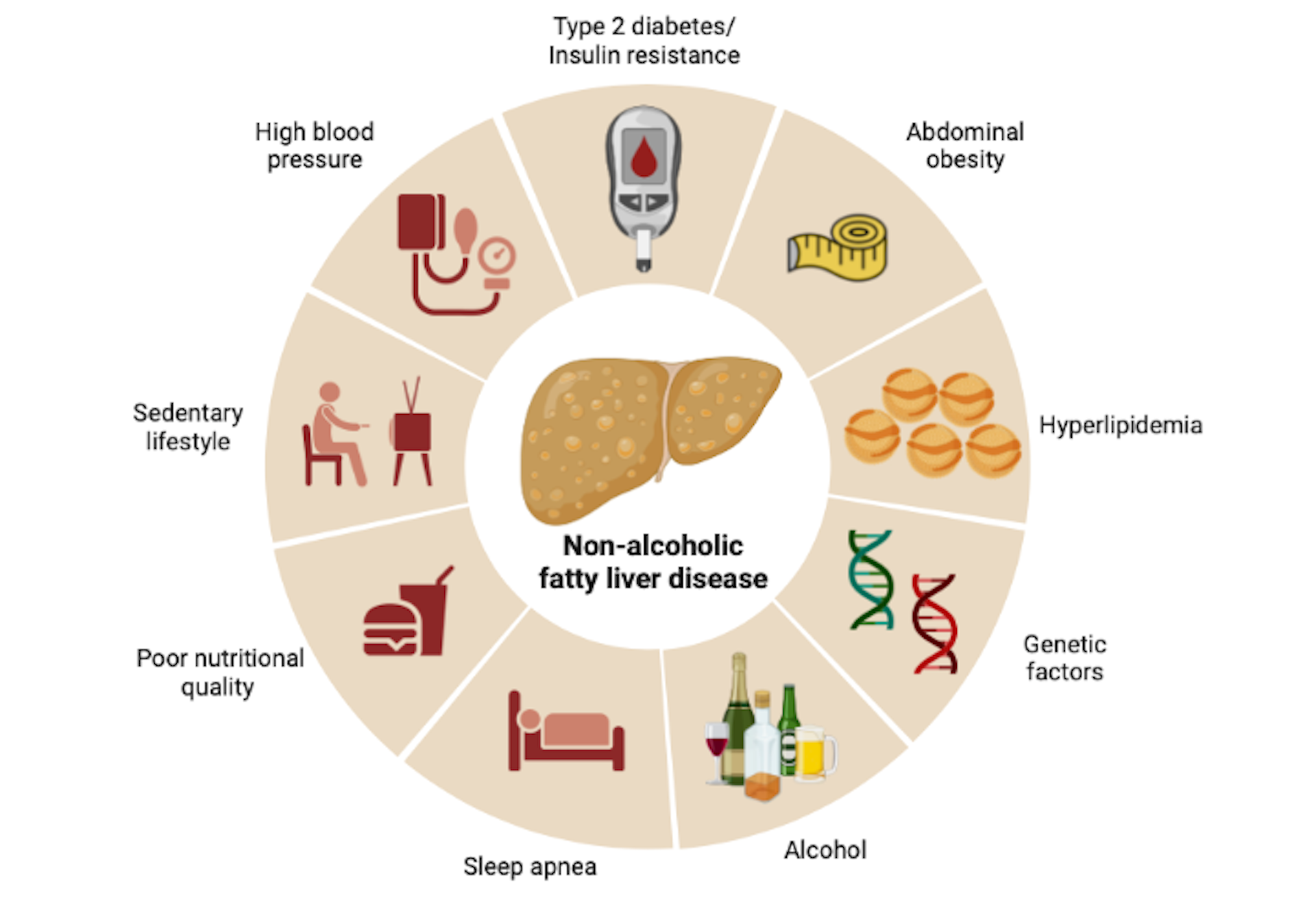 Uncovering The Genetic Causes Of Fatty Liver Disease — A Growing Health ...