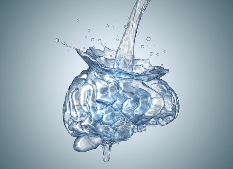graphic of water being poured into clear brain structure