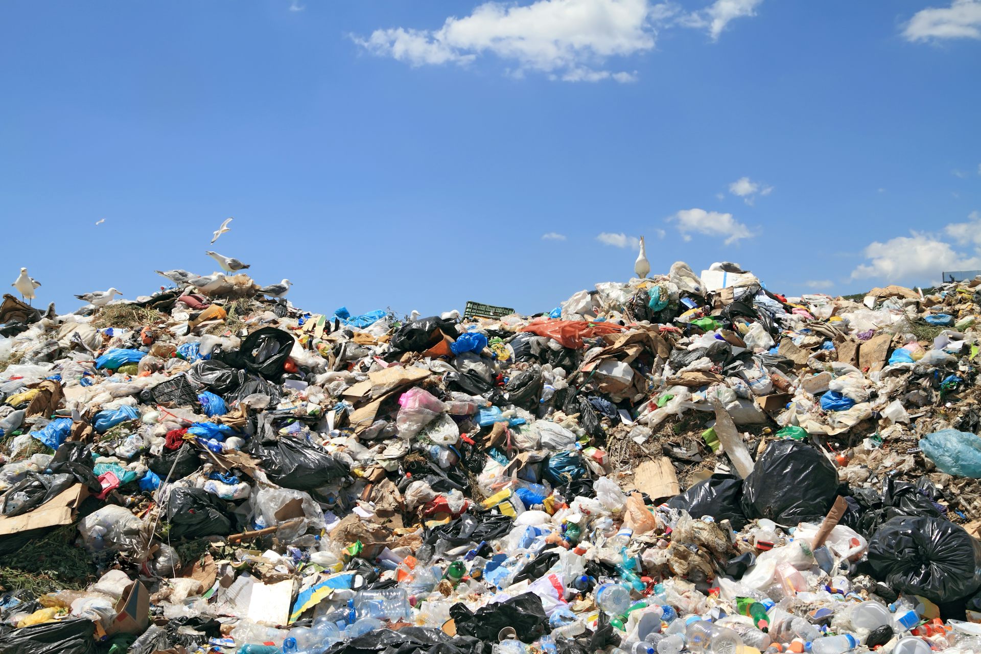 How To Create Wealth From Waste And Reduce Our Landfill