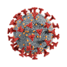 Model of a coronavirus with red spikes