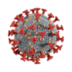 Model of a coronavirus with red spikes