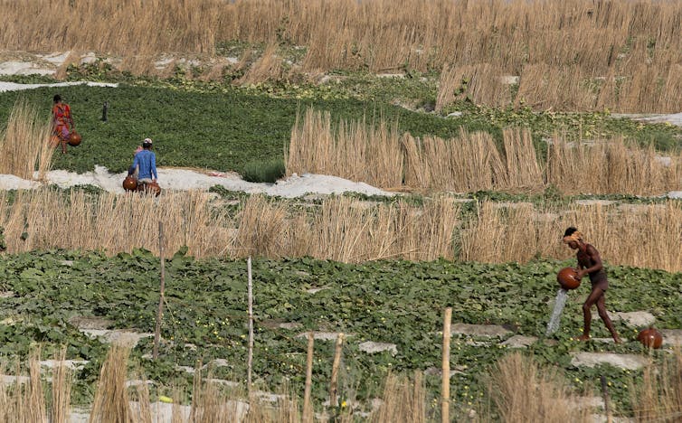 Farmers carry earthen pots to water their fields.