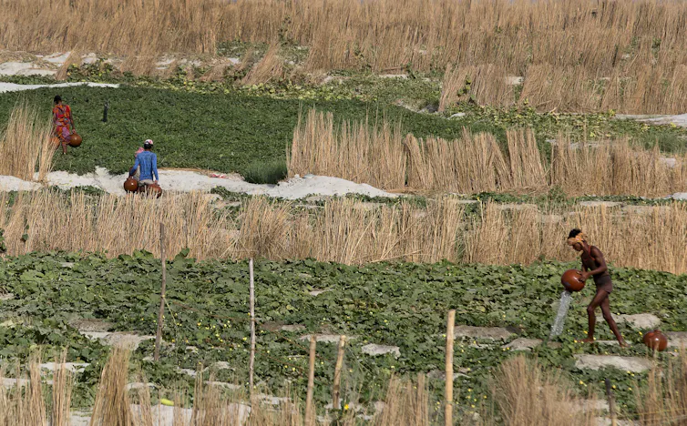 Farmers carry earthen pots to water their fields.