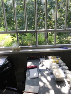 A table near a window, with test tubes, glasses, note books on top of it.