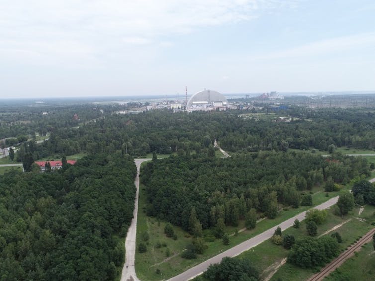 An aerial view of a forest with roads and a large curved structure in the background.