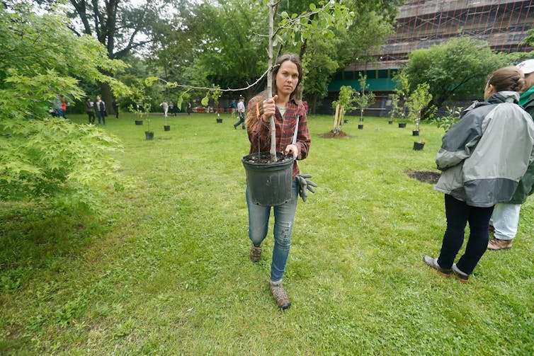 A woman carries a tree to be planted.