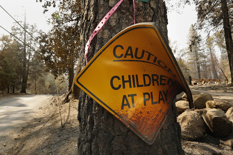 The diamond-shaped sign is attached to burned tree and curled over with burn marks and burned ground behind it.