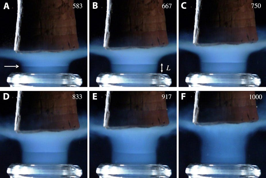 6 images successives montrant un bouchon de champagne qui vient de quitter le goulot ; un panache bleu clair suit le bouchon, comme une traine. Un trait horizontal au goulot est visible au milieu de la trainée sur les 5 premières images.