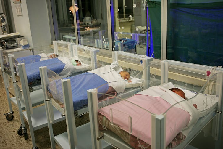 Newborn babies in hospital