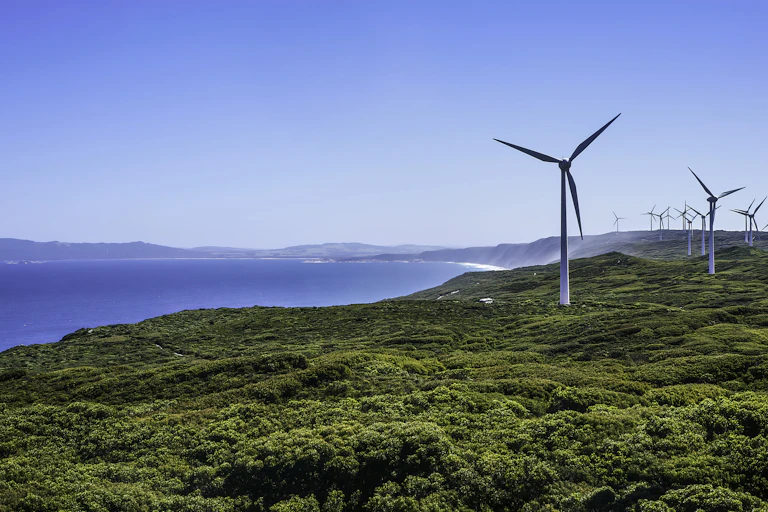 Wind turbines next to sea