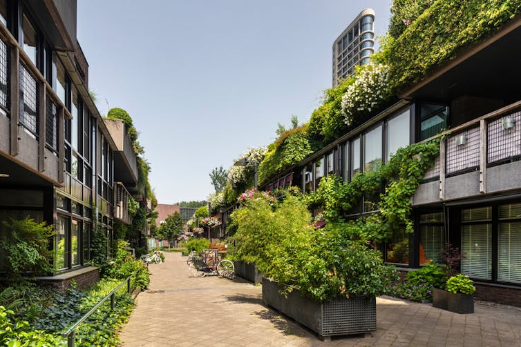 Green street in the Netherlands