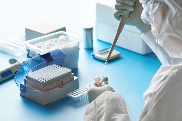A scientist preparing samples for PCR testing in a lab