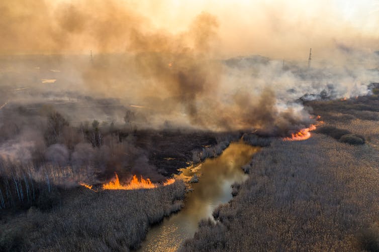 Vue aérienne d’un feu de forêt à proximité de la centrale