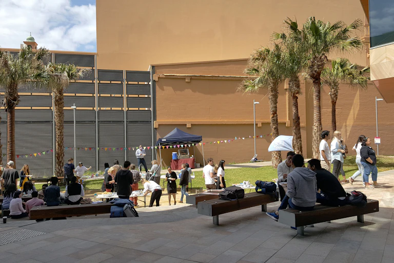 students on a university campus