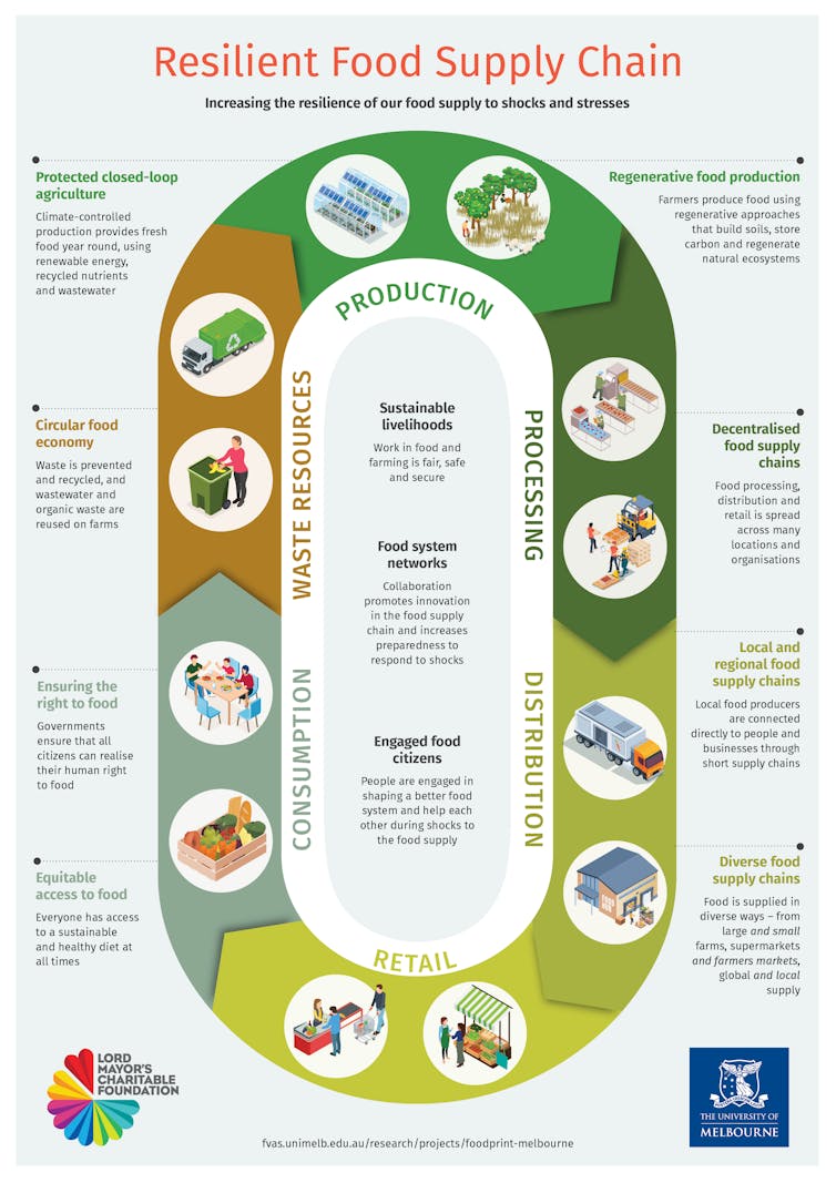 Infographic on food supply