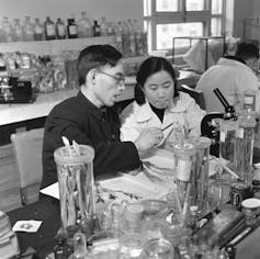 man and woman working at lab bench