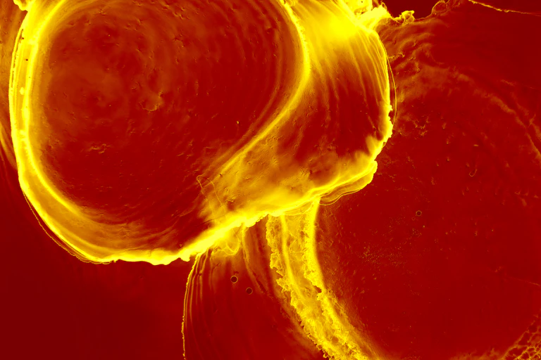 Composición en rojo y amarillo.