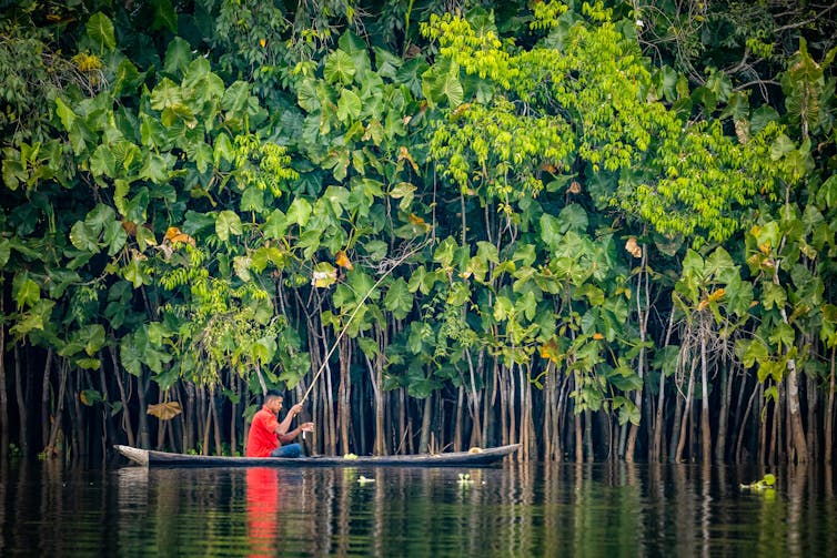 A man in a shallow boat fishing next to a forest.